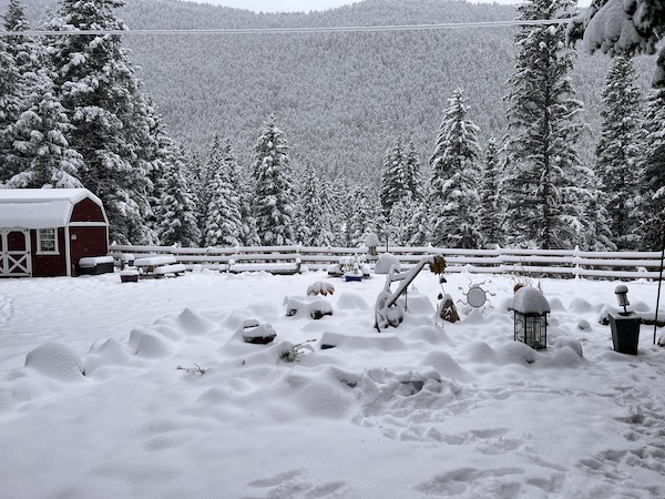 Winter in Montana. 
